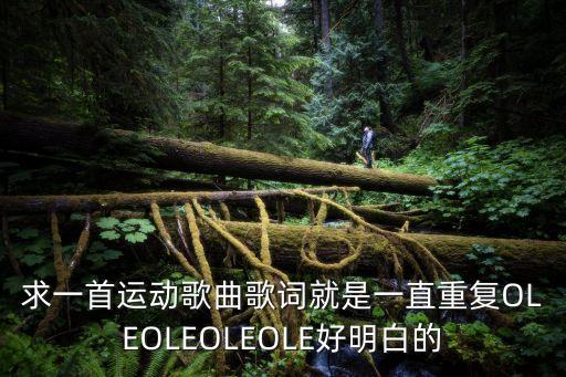 運(yùn)動(dòng)歌，運(yùn)動(dòng)時(shí)聽(tīng)什么歌好要歌名