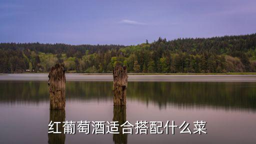 紅葡萄酒適合搭配什么菜
