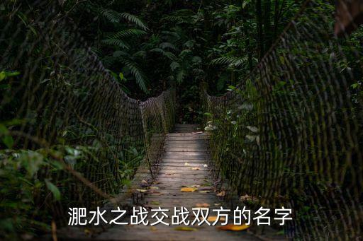 淝水之戰交戰雙方的名字