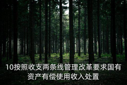 10按照收支兩條線管理改革要求國有資產(chǎn)有償使用收入處置