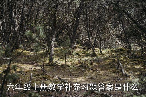 六年級上冊數學補充習題答案是什么