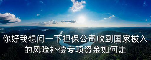 你好我想問一下擔保公司收到國家拔入的風險補償專項資金如何走