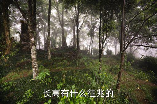 長高有什么征兆的