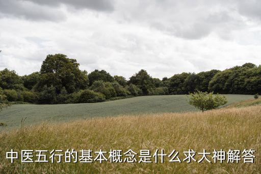 中醫五行的基本概念是什么求大神解答