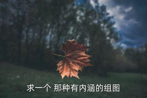 求一個(gè) 那種有內(nèi)涵的組圖