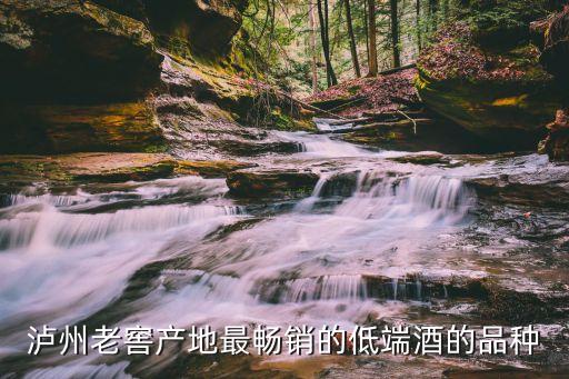 瀘州老窖產地最暢銷的低端酒的品種