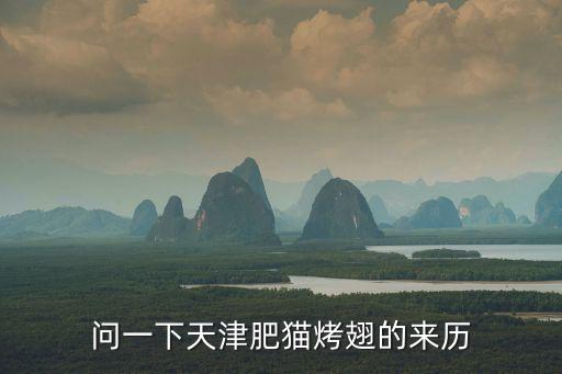 天津市肥貓雞翅，肥貓烤翅具體地址有誰知道答案