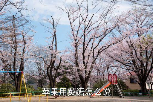 蘋果用英語怎么說