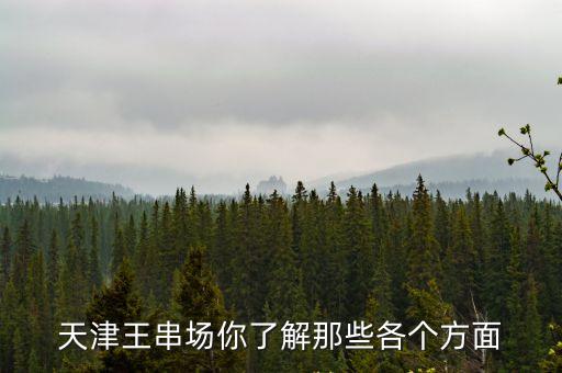 天津王串場你了解那些各個(gè)方面