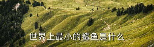 世界上最小的鯊魚(yú)是什么