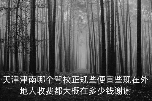 天津津南哪個駕校正規(guī)些便宜些現(xiàn)在外地人收費都大概在多少錢謝謝