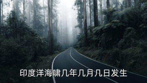 印度洋海嘯，印度洋海嘯的問題