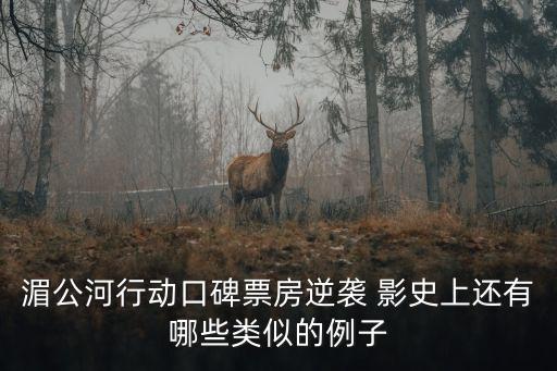 湄公河行動口碑票房逆襲 影史上還有哪些類似的例子