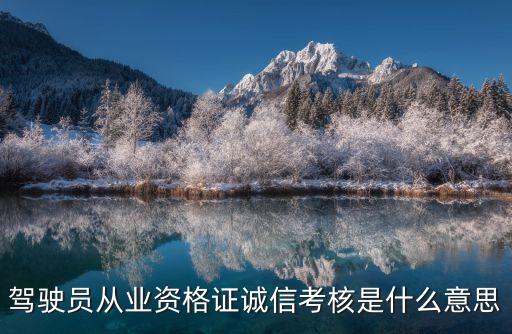 駕駛員從業資格證誠信考核是什么意思