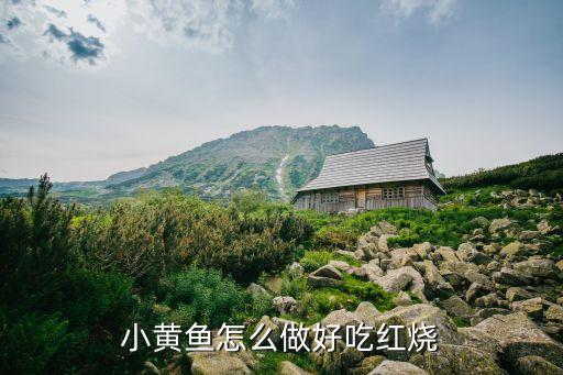 小黃魚怎么做好吃紅燒