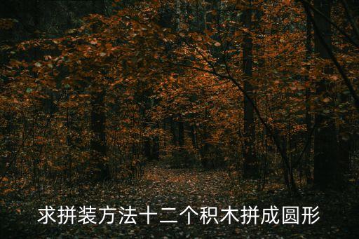 積木拼圖大全簡易圖，求拼裝方法十二個積木拼成圓形