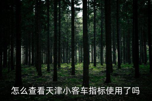 天津市小客車指標過期怎么查，天津小客車搖號結果在網站哪查呀