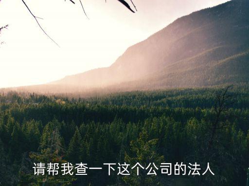天津市鑫聯華工貿有限公司天眼，日子櫻花電動車哪產的