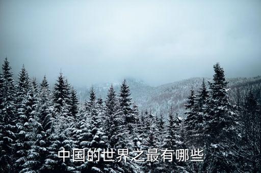 中國的世界之最有哪些