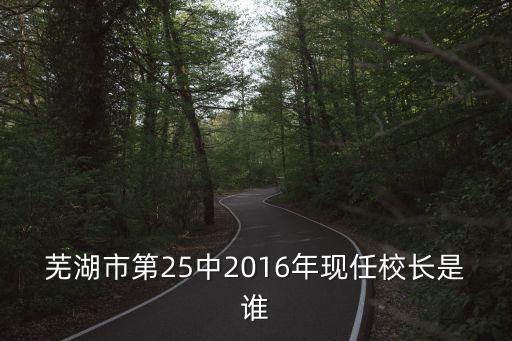 天津市25中校長，25中學(xué)的校長叫什么名字