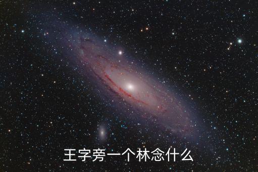 王字旁一個林念什么