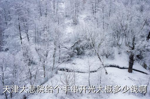 天津市大悲寺開光，現在的天津大悲院可以給請來的飾品開光嗎是每天都有嗎大概在什