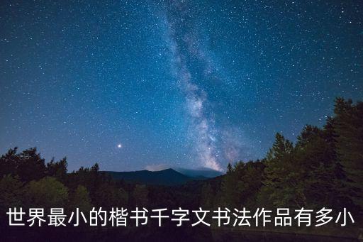千字文書法，世界最小的楷書千字文書法作品有多小