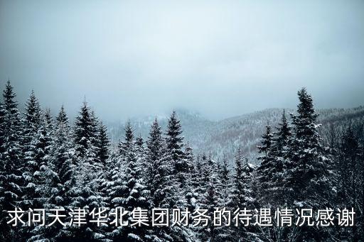 天津市北辰區(qū)華北物流園創(chuàng)世鑫潼，求問天津華北集團財務(wù)的待遇情況感謝