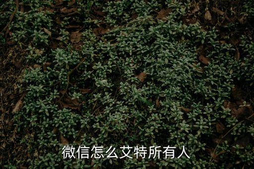 怎么艾特全體成員，微信怎么艾特所有人