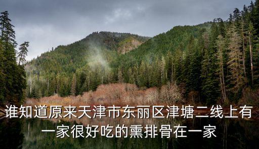 天津市東麗區(qū)劉一勺，天津市東麗區(qū)