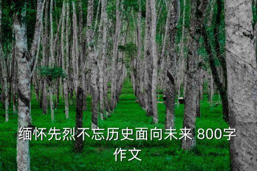 緬懷先烈不忘歷史面向未來 800字作文