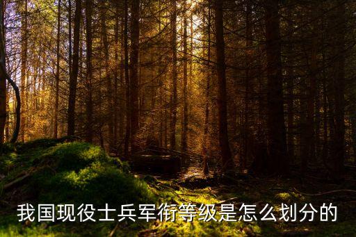 我國現役士兵軍銜等級是怎么劃分的
