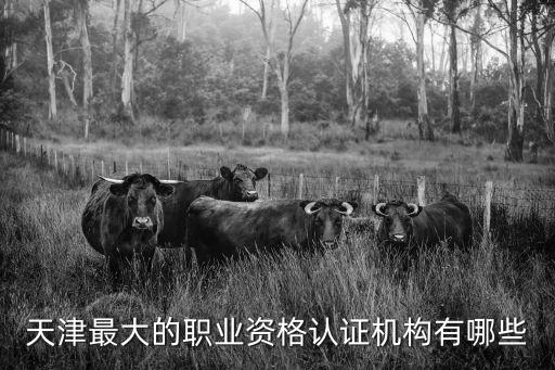 天津市職業(yè)技能鑒定19所，天津市職業(yè)技能鑒定焊接證在哪兒取