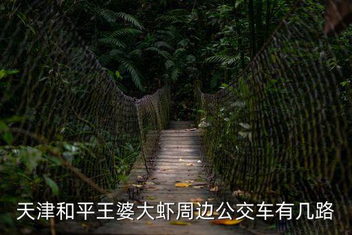 天津市劉園王婆大蝦，天津有多少家槐店王婆大蝦