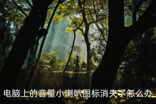 電腦上的音量小喇叭圖標(biāo)消失了怎么辦