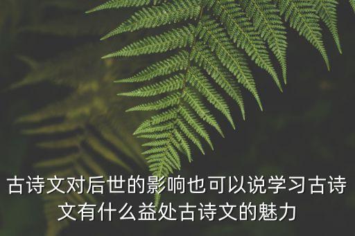 古詩文對后世的影響也可以說學(xué)習(xí)古詩文有什么益處古詩文的魅力