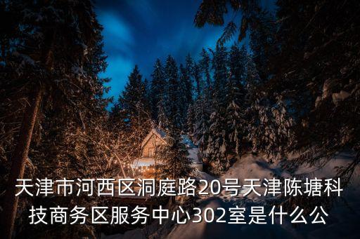 天津市河西區洞庭路20號天津陳塘科技商務區服務中心302室是什么公