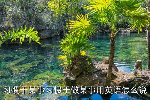 習慣于某事習慣于做某事用英語怎么說