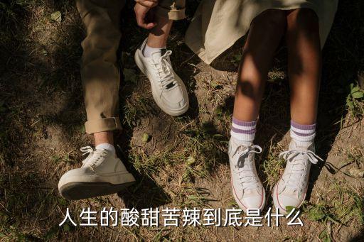 人生酸甜苦辣，形容人生酸甜苦辣句子有哪些