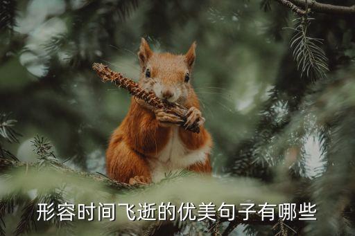 形容時(shí)間飛逝的優(yōu)美句子有哪些