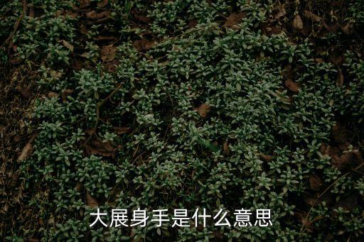 大展身手，大展身手歇后語