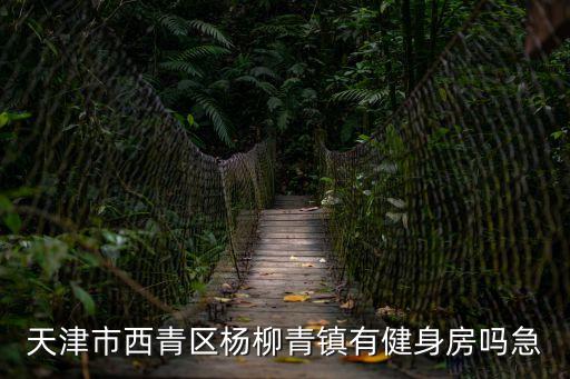 天津市西青區楊柳青鎮有健身房嗎急