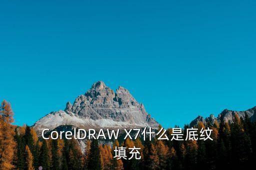底紋填充，CorelDRAW X7什么是底紋填充