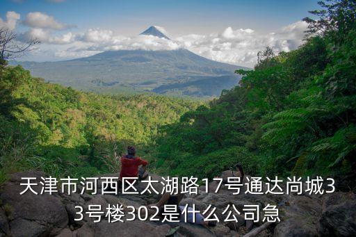 天津市唯博特，天津市河西區太湖路17號通達尚城33號樓302是什么公司急