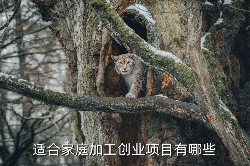家庭創業，家庭式的創業