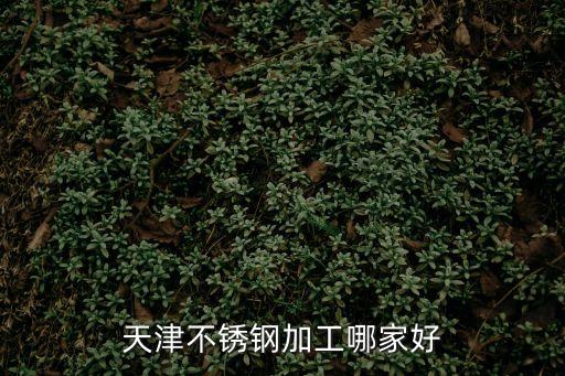 天津市不銹鋼網生產廠家，不銹鋼網廠家有