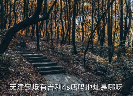 天津寶坻有吉利4s店嗎地址是哪呀