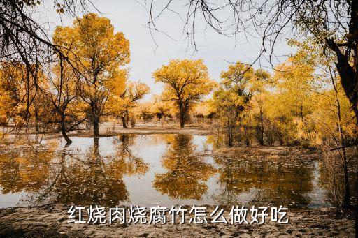 紅燒肉燒腐竹怎么做好吃