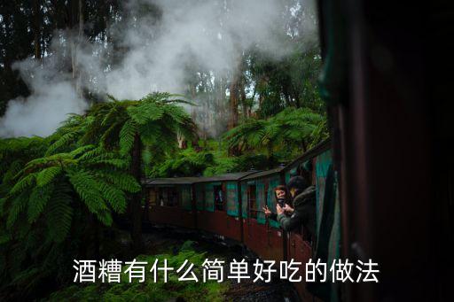 酒糟有什么簡單好吃的做法