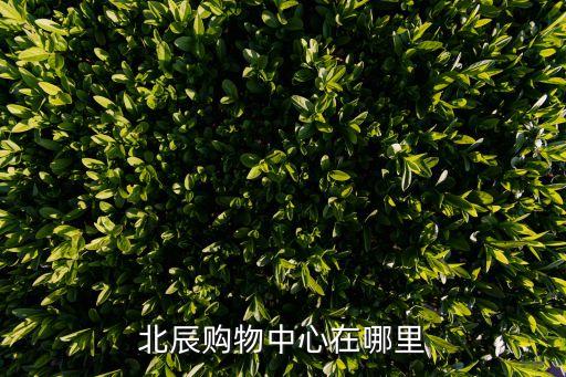 天津市北辰區(qū)大型購物超市地址，天津北辰區(qū)大超市